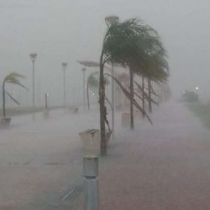 Temporal causa estragos na fronteira Brasil x Paraguai