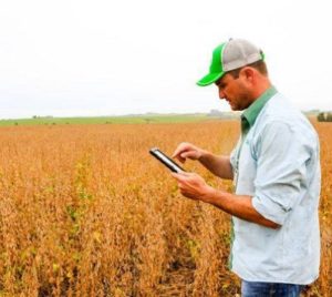 Previsão do tempo para o Paraná é favorável à agricultura