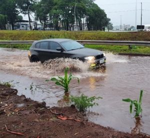 Após severa estiagem, cidades do Paraná registram chuvas acima da média histórica em janeiro