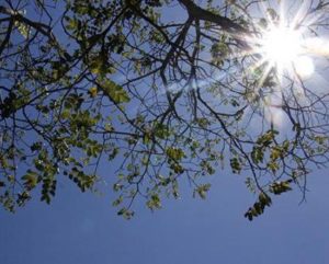 Sem previsão de chuvas, dia será ensolarado e com temperaturas agradáveis em Medianeira