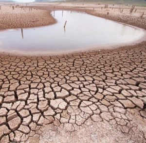 Governo alerta para a pior seca em 111 anos no Paraná e outros quatro estados