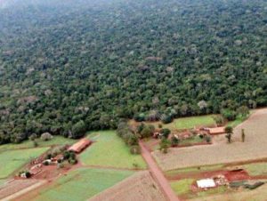 Requerimento pede urgência na votação de projeto sobre reabertura da Estrada do Colono