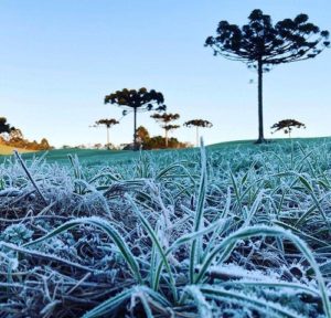 Onda de frio que se aproxima do Paraná pode ser uma das mais intensas deste século