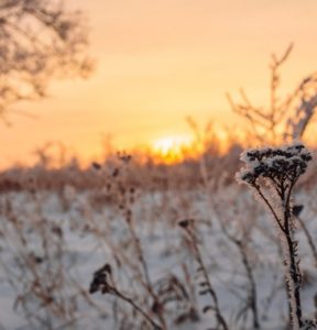 Nova massa de ar polar chega neste fim de semana, e não vai embora muito cedo.