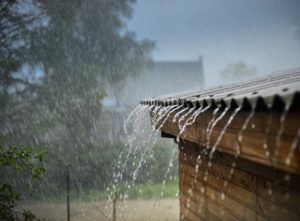 Primeira semana do ano começa com chuva tão esperada pelos Medianeirenses