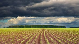 La Niña atinge ápice e deve terminar no decorrer do outono