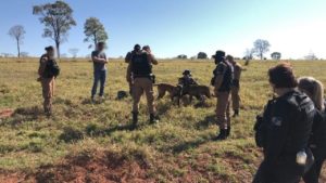 Operação conjunta entre Polícia Federal e FAB apreende cocaína arremessada de aeronave no Paraná