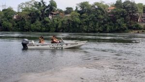 Piracema começa no dia 1° de novembro no Paraná e terá cinco forças-tarefas de fiscalização