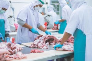 Brasil pode bater recorde na exportação de carne bovina e de frango