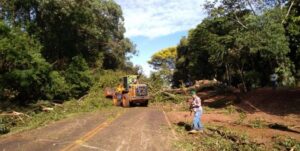 Motorista colide em árvore que foi derrubada sobre a PR-488, entre Diamante do Oeste e Vera Cruz