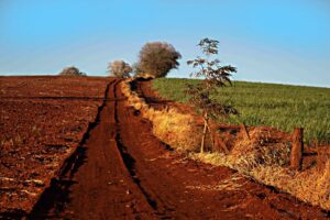 Medianeira é citada em Mapa de Potencialidade Agrícola Natural das Terras do Brasil