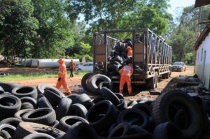 Com alta nos casos de dengue, governo do DF recolhe cerca de 15 mil pneus para descarte