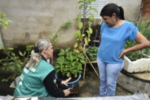 DENGUE EM GOIÁS: não espere os sintomas se agravarem para procurar atendimento