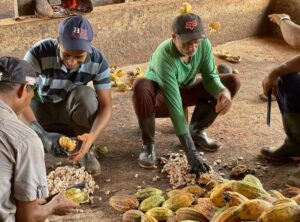 Governo Federal fomenta desenvolvimento sustentável da região do Xingu, no Pará