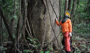 Indústria Verde: práticas industriais alinhadas à sustentabilidade impulsionam economia