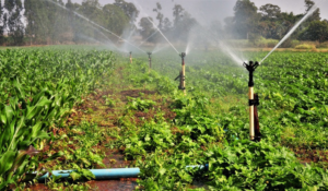 MIDR reconhece novos polos de agricultura irrigada no Espírito Santo e no Rio Grande do Norte