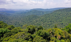 Norte é única região do país com aumento no número de homicídios em 2023