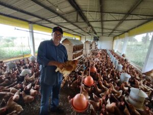 Rotas de Integração: produção de galinha caipira para indução do desenvolvimento no Semiárido nordestino