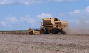 Valor Bruto da Produção agrícola de Minas Gerais registrou mais de R$ 123 bilhões