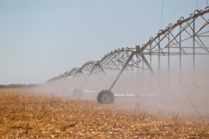 Dia Nacional da Agricultura Irrigada é instituído pelo Governo Federal