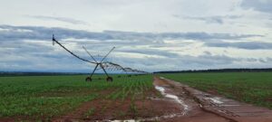 MIDR prepara estudos para reconhecer polo de agricultura no Mato Grosso do Sul