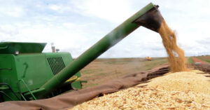 Preço da soja subiu no Paraná