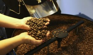Preço do café arábica caiu nesta sexta-feira (19)