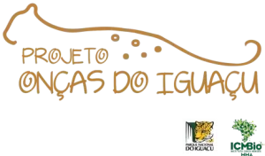 Novo filhote de onça-pintada é identificado no Parque Nacional do Iguaçu e projeto abre votação para escolha do nome