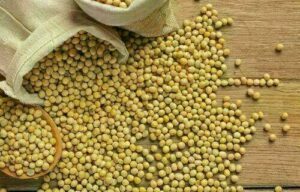 Soja tem alta no preço e saca é vendida a R$ 138,70 no interior do Paraná