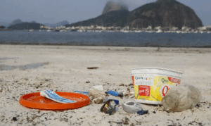 Dia Mundial do Meio Ambiente alerta para urgência do fim da poluição plástica