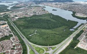 Cidades Verdes do Mundo: 34 municípios brasileiros fazem parte de seleta lista da ONU