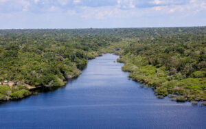 Projetos sustentáveis: inscrições para edital AMABIO terminam nesta quinta (31)