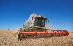 Brasil terá safra recorde de 340,5 milhões de toneladas em 2025