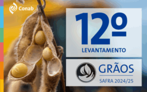 Safra 2024/25 atinge recorde histórico de 350,2 milhões de toneladas de grãos