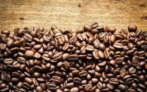 Café hoje: confira as cotações para esta segunda-feira (20)