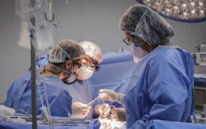 Doação de órgãos: transplantes de intestino delgado e multivisceral entram no SUS