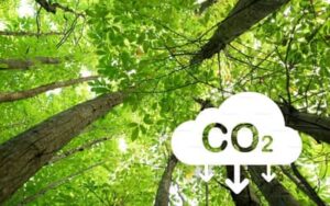 Goiás é o primeiro estado do Brasil com “carbono positivo” no uso da terra, revela pesquisa