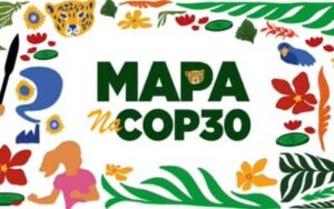 Mapa lidera agenda do agro sustentável na COP 30