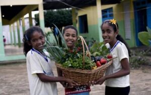Novo Pronacampo: prazo para adesão é prorrogado até 30/11