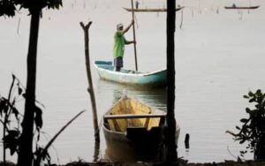 Oceana lança guia na COP30 para fortalecer a pesca diante das mudanças climáticas