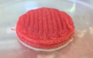 Carne feita em impressora 3D: projeto cria proteína sem abate animal
