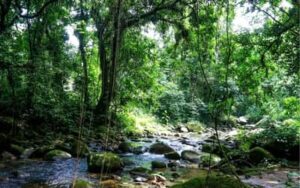 Licenciamento Ambiental: Região Sudeste soma mais de 24,7 mil pedidos em análise