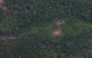 Licenciamento Ambiental: Região Sul soma mais de 15 mil pedidos em análise