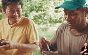 Produtor da Amazônia une sustentabilidade e tradição familiar japonesa no cultivo de açaí