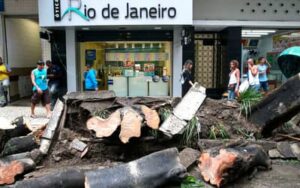 Senado aprova descriminalização de poda de árvore em caso de risco de acidente