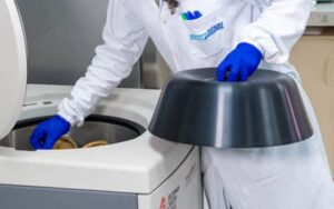 Peru habilita 36 estabelecimentos nacionais para exportar material genético animal