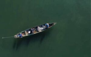 Mais de 76 mil pescadores tiveram licenças canceladas após decisão do MPA