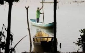 Maranhão e Pará lideram número de licenças de pescadores canceladas pelo MPA