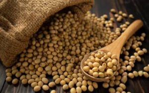 Soja e trigo: confira as cotações de preço para esta quinta-feira (5)