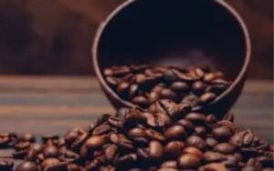 Café hoje: confira as cotações para esta quarta-feira (29)